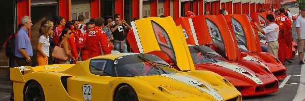 Ferrari FXX, Posiadaczy, Zlot