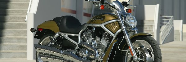 Harley Davidson V-Rod, Oliwkowy