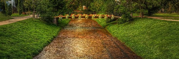 Mostek, Rzeczka, Park