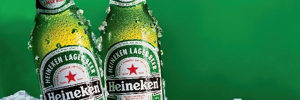 lód, Heineken, Piwo