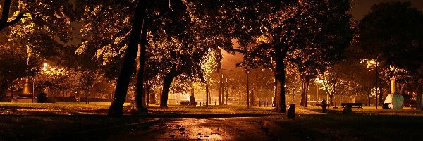 Aleja, Światła, Noc, Park