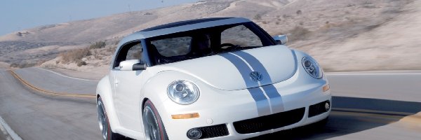 Volkswagen New Beetle