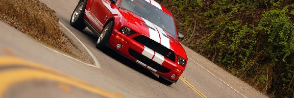 Shelby, GT 500, Ford Mustang, Czerwony