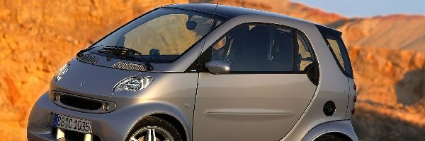 Smart Fortwo, Szary