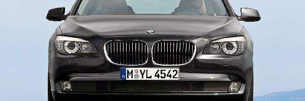 Przód, BMW seria 7 F01, Atrapa, Grill