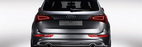Concept, Audi Q5, Tył