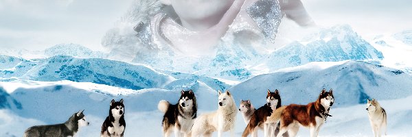 góry, Paul Walker, Eight Below, psy