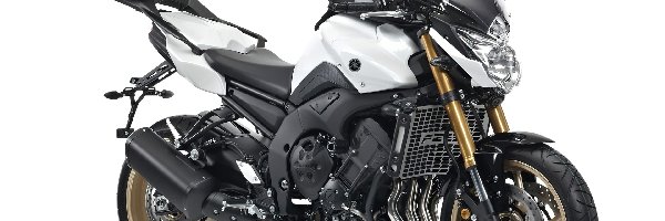 Kufer, Naked, Yamaha FZ8