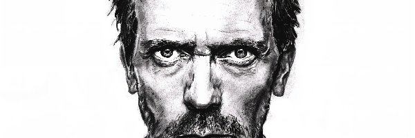 Hugh Laurie, Dr. House