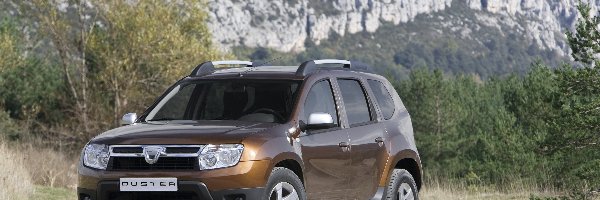 Czołowa, Płyta, Dacia Duster