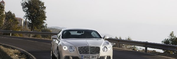 Lusterka, Bentley Continental GT