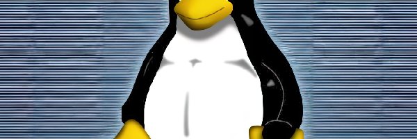 Pingwinek, Tło, Niebieskie, Linux