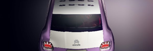 Prototyp, Citroen Revolte