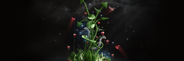 Fantasy, Roślina, Chłopiec