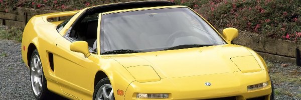 NSX TARGA