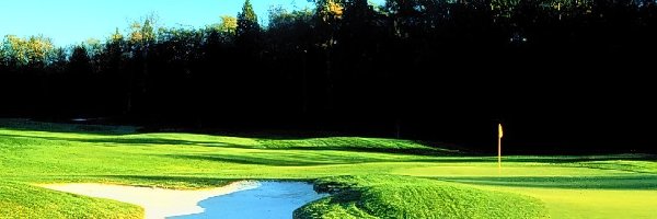 Pole Golfowe