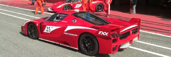 Stop, Pit, Ferrari FXX