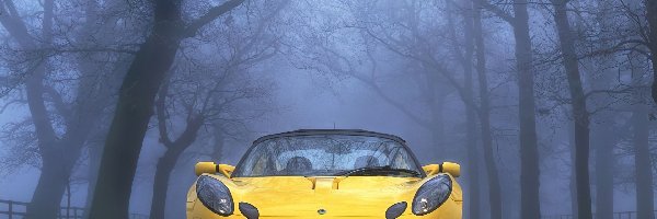 Przód, Lotus Elise, Żółty