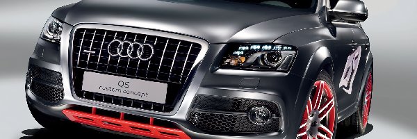 Concept, Audi Q5