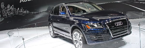 Prezentacja, Wystawa, Audi Q5