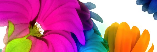3D, Kwiaty, Kolorowe