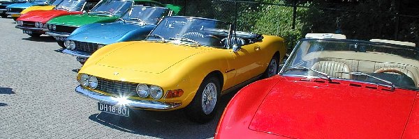 Fiat Dino, Miłośników, Zlot