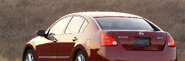 Nissan Maxima