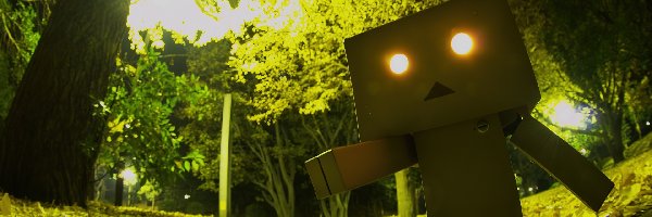 Ludek, Park, Danbo, Kartonowy