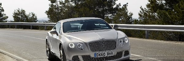 Maska, Profilowana, Bentley Continental GT