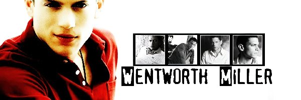 czrwona bluzka, Wentworth Miller