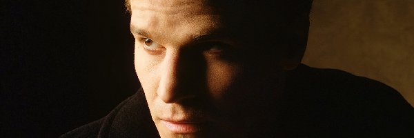 Aktor, David Boreanaz