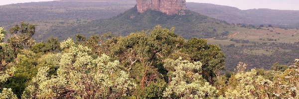 Waterberg, Górskie, Pasmo, Trawa, Drzewa