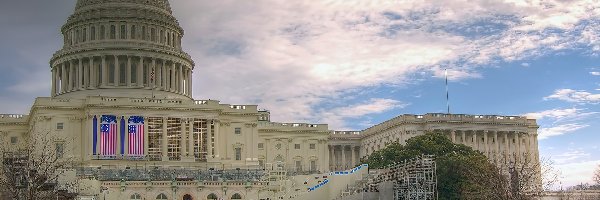 Washingtonie, W, Capitol