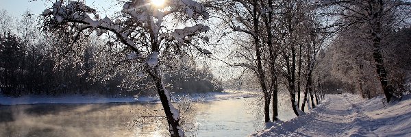 Drzewa, Zima, Śnieg, Rzeka