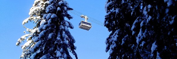 Śnieg, Linowa, Kolejka, Drzewa