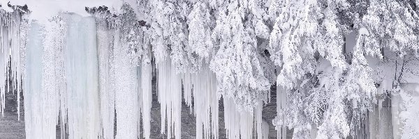 Śnieg, Gałęzie, Zaspy, Sople