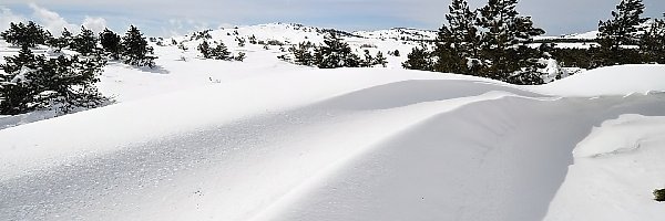 Śnieg, Zima