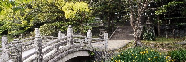 Ogród, Mostek, Japoński, Japonia, Roślinność
