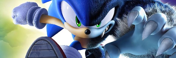 Bieg, Sonic Heroes