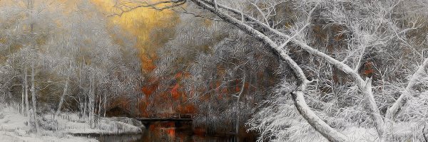 Rzeka, Obraz, Drzewa, Zima