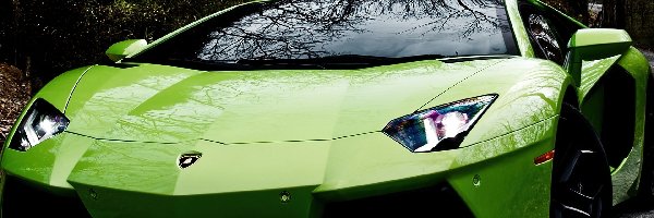 Lamborghini Aventador, Zielony