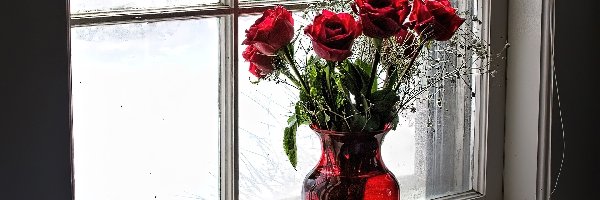 Okno, Róże, Czerwone