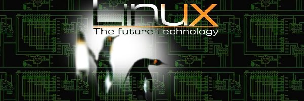 Linux, System