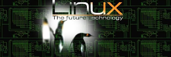 Linux, System