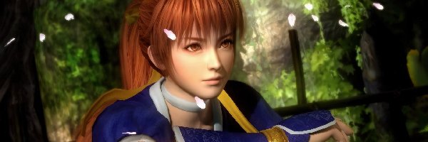 Kasumi, Dead Or Alive 5