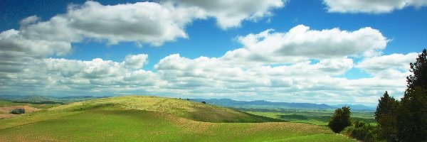 Panorama, Drzewa, Pola, Chmury, Góry