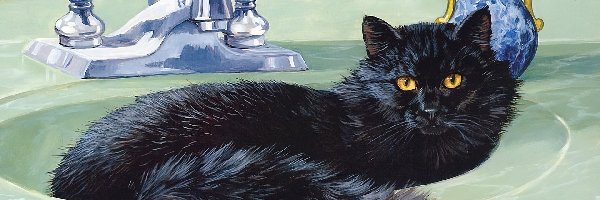 Umywalka, Kot, Czarny