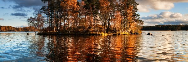 Jezioro, Drzewa, Wysepka, Finlandia, Vuoksa