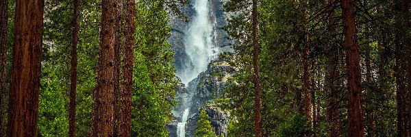 Wodospad Upper Yosemite Fall, Kalifornia, Kalifornijski, Stany Zjednoczone, Park Narodowy Yosemite, Drzewa, Las, Stany Zjednoczone