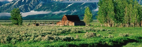 Góry Teton Range, Stan Wyoming, Strumyk, Drzewa, Park Narodowy Grand Teton, Drewniany, Budynek, Stany Zjednoczone